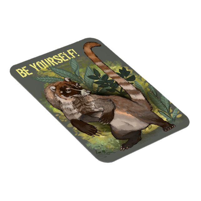 Íman Coatamundi ou branco coati (Lado Direito)