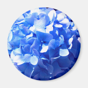 Íman Cobalt Azul