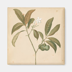 Íman Cobalt Deco Painel I