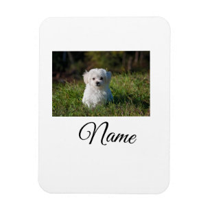 Íman Cobertor personalizado com foto de animal colorido