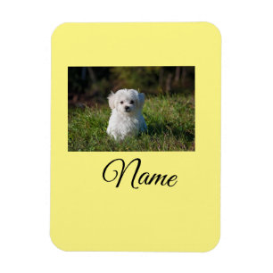 Íman Cobertor personalizado com foto de animal colorido
