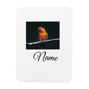 Íman Cobertor personalizado com foto de animal colorido
