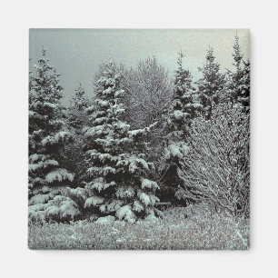 Íman Cobertura do ímã da neve