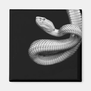 Íman Cobra