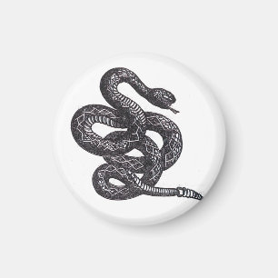 Íman Cobra Crotalus Cascavella (Víbora Pitão Venenosa)
