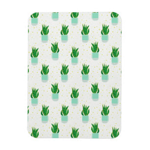 Íman Cobra de planta de Sansevieria Potted