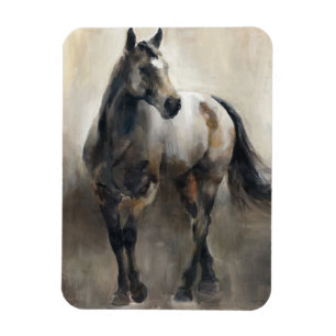 Íman Cobre e níquel