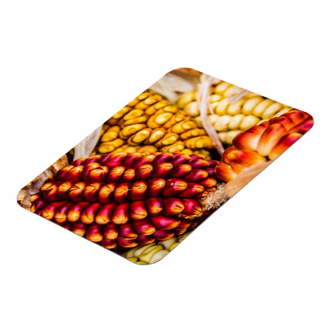 Íman Cobs de milho (Left Side)