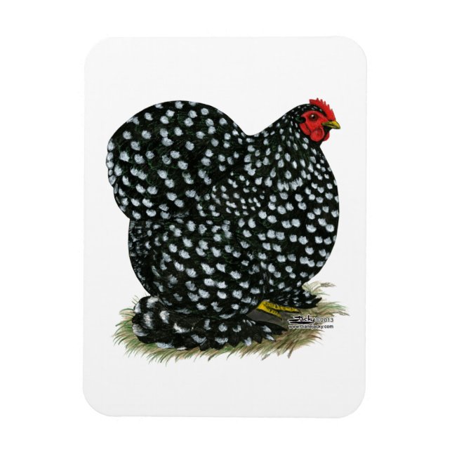 Íman Cochin Mottled Hen (Vertical)