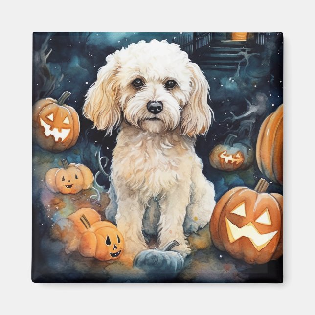 Íman Cockapoo De Halloween Com Pumpkins Assustado (Frente)