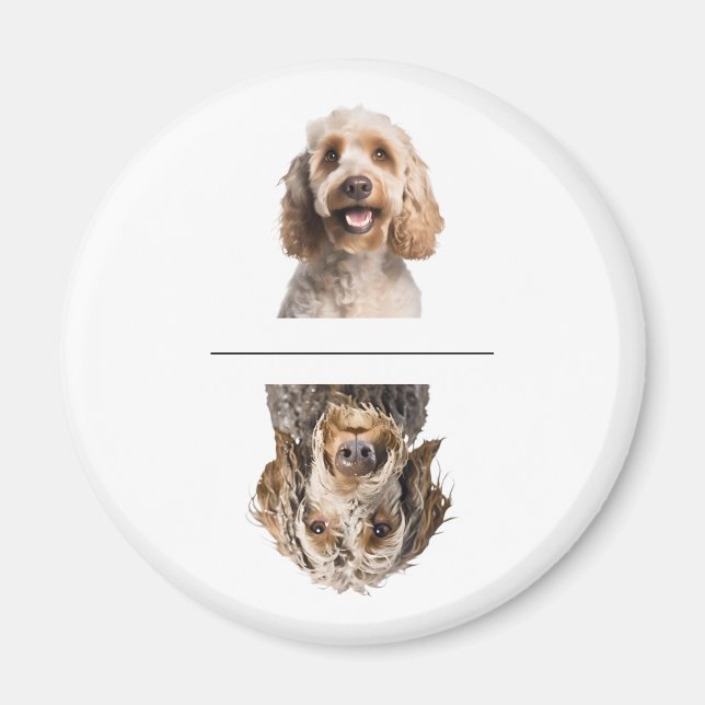 Íman Cockapoo Encantador Louça Limpa/Suja na Máquina de (Frente)
