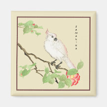 Cockatoo Cinto Camellia Japonesa Magnet