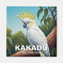 Cockatoo no Parque Nacional de Kakadu, Austrália