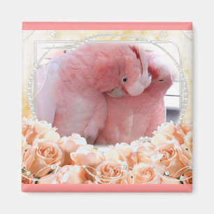 Íman Cockatoos cor-de-rosa