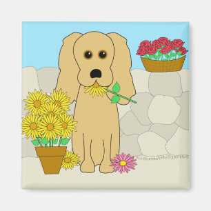 Íman Cocker spaniel