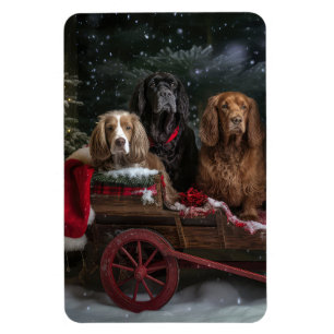 Íman Cocker Spaniel Nevado Trenó Natal Decoração
