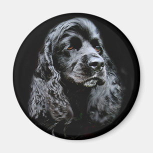 Íman Cocker spaniel preto