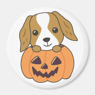 Íman Cocker Spaniel Pumpkin Cute Dogs Feliz Halloween M