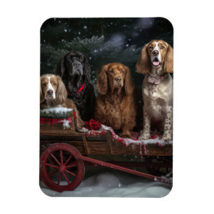 Íman Cocker Spaniel Trineve Trenó Natal Decoração