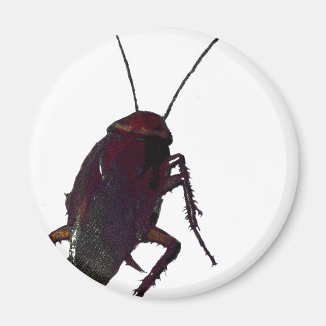 Íman Cockroach (Frente)