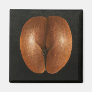 Íman Coco de Mer 2010