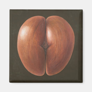 Íman Coco de Mer Maldives 2012