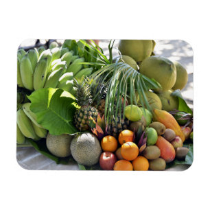 Íman Cocos, laranjas, limões, bananas, papaia