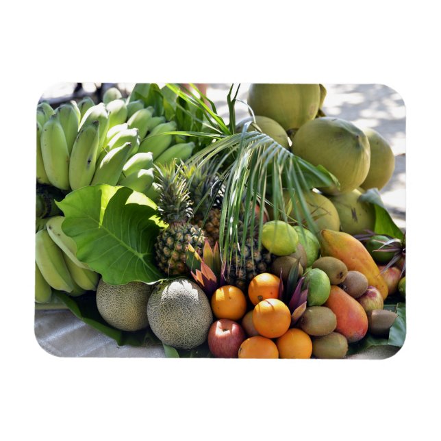 Íman Cocos, Laranjas, Limões, Bananas, Papaias (Horizontal)