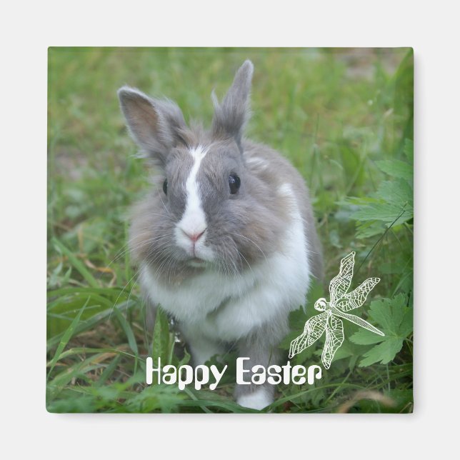 Íman Coelhinho (Frente)