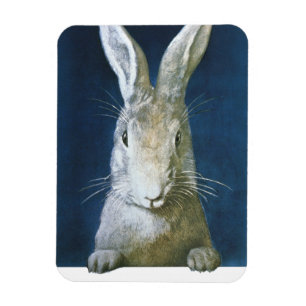 Íman Coelhinho da Páscoa do vintage, coelho branco