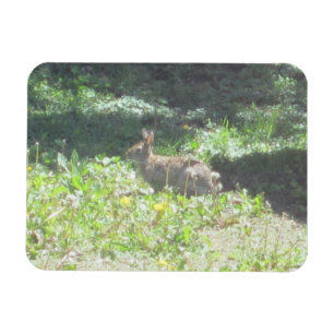 Íman Coelhinho Flexível Selvagem