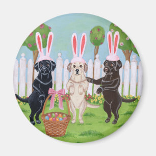Íman Coelhinhos da Páscoa de Labrador!!