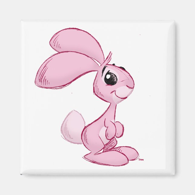 Íman coelho (Frente)