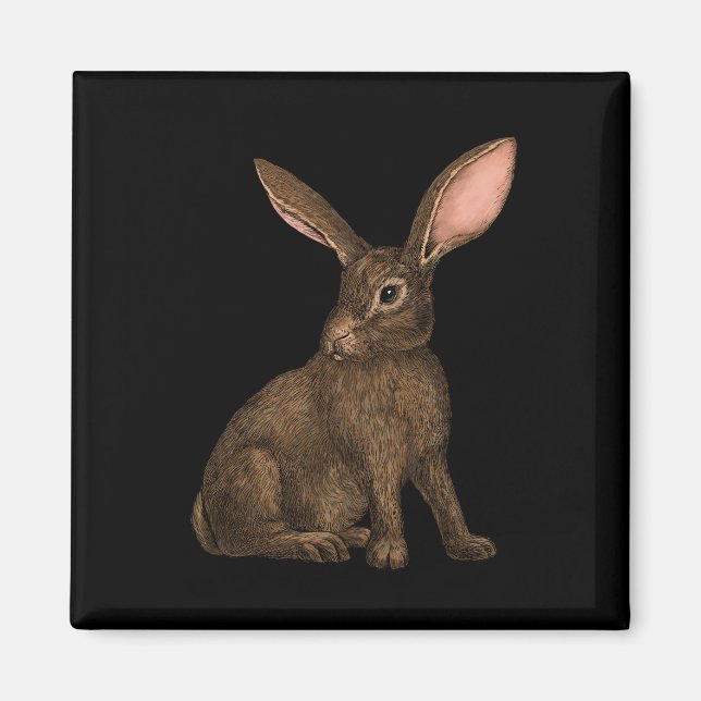 Íman Coelho 4 (Frente)