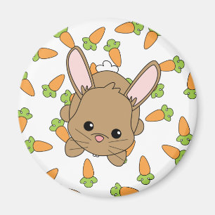 Íman Coelho bonito de Lil