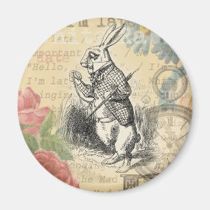 Íman Coelho Branco Alice no País das Maravilhas Arte