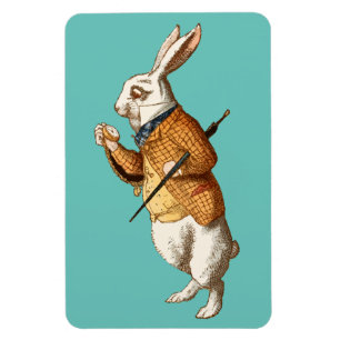Íman Coelho Branco (Aventuras de Alice no País das Mara