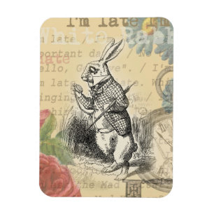 Íman Coelho Branco Aventuras de Alice no País das Marav