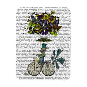 Íman Coelho das Moscas do Tempo