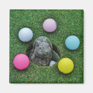 Íman Coelho e bolas de golfe coloridas