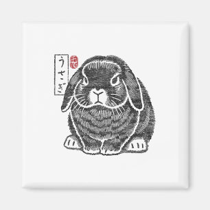 Íman Coelho Grumpy Holland Lop Kanji Tradição Japonesa