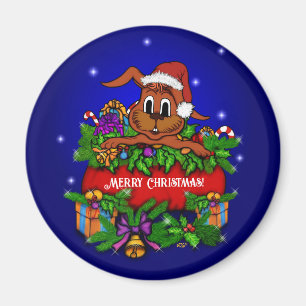 Íman Coelho Natal