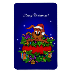Íman Coelho Natal