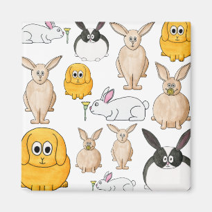 Íman Coelhos