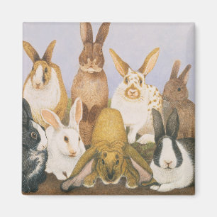 Íman Coelhos afortunados
