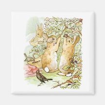 Coelhos coelhos: Picagem de Blackberry (Beatrix Po