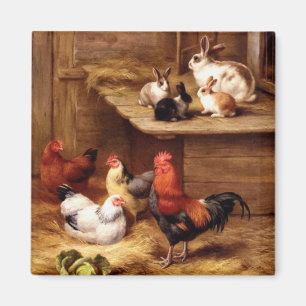 Íman Coelhos dos animais de fazenda das galinhas do