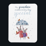 Íman Coelhos fazem vovó especial todo dia<br><div class="desc">Um doce ímã para sua avó no Dia de os namorados,  Dia dos Avós,  aniversário ou qualquer dia! Dois coelhos caminham na chuva com um guarda-chuva florescente e vários robins curiosos. Um doce design de Primavera!</div>