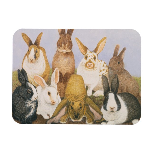 Íman Coelhos sortudos (Horizontal)