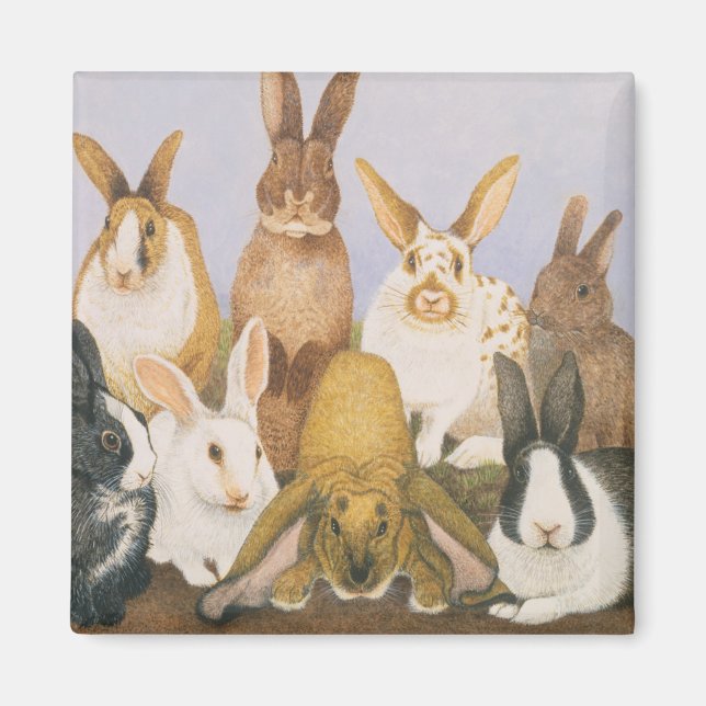 Íman Coelhos sortudos (Frente)